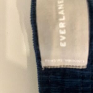 Everlane Navy Cord Pants